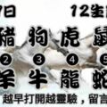 2019年1月17日，星期四農歷臘月十二（戊戌年乙丑月甲寅日）