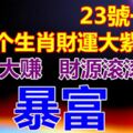 23號一過，這幾個生肖財運大紫，橫財大賺，財源滾滾而來，要暴富