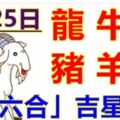 3月25日生肖運勢_龍、牛、蛇大吉