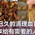 終於找到了失傳已久的[清理血管壁的驗方]快分享給有需要的人知道！