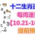 十二生肖運勢：每周運勢【10.21-10.27】提前預知！