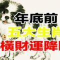 橫財大發！12月底前，5大生肖將受財神爺青睞，中獎機率高！