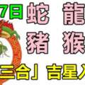 6月17號生肖運勢_蛇、龍、牛大吉