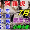 你是生肖「狗雞虎牛猴馬鼠」嗎？7月9日開始格外注意了！