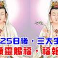 8月25日後菩薩顯靈賜福，福報連連的生肖
