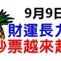 9月9日財運長九日，鈔票越來越多的生肖