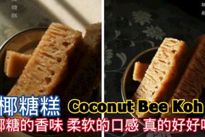 椰糖糕CoconutSugarBeeKoh椰糖的香味，柔軟的口感，真的好好吃哦！