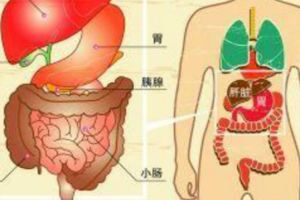 養肝時間表：一天4個時間段，養肝最關鍵