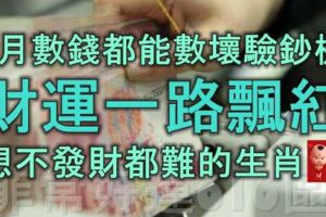 5月數錢都能數壞驗鈔機，財運一路飄紅，想不發財都難的生肖！