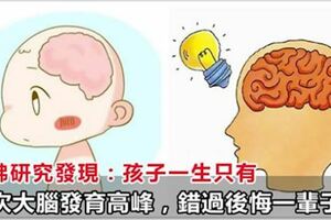 哈佛研究發現：孩子一生只有三次大腦發育高峰，抓住了孩子的智商遠超同齡人