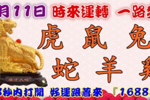 4月11日時來運轉一路發，虎鼠兔蛇羊雞，88秒內打開，好運跟著來『16888』