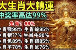 九大生肖大轉運，中獎率高