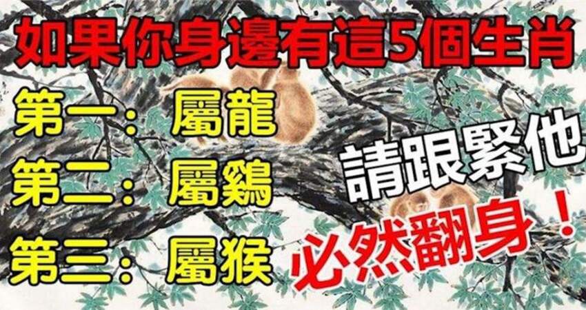 你身邊有這五個生肖,請跟緊他