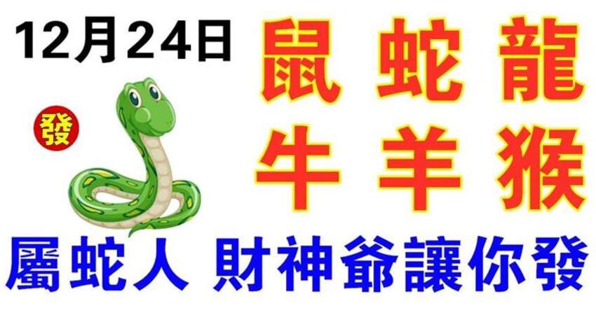 12月24日生肖運勢_鼠、蛇、龍大吉