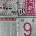 12/29  馬上發特刊-六合彩參考.jpg