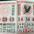 8/18  神鷹靈動-六合彩參考.jpg
