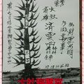 8/2-8/6  濟雲宮-六合彩參考.jpg