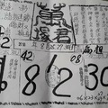 8/25-8/30 萬塜君-六合彩參考