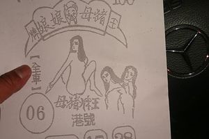 11/15  豬母娘娘-六合彩參考.jpg