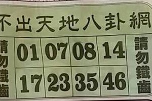 8/23 不出天地八卦網-六合彩參考