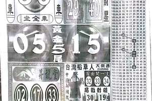 9/6  中國新聞報-大樂透參考