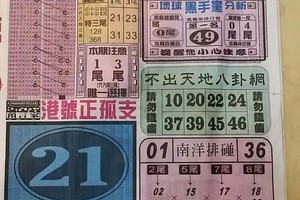 9/29  中國新聞報-六合彩參考
