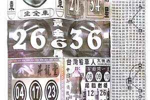 10/25  中國新聞報-大樂透參考