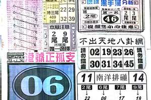 11/3  中國新聞報-六合彩參考