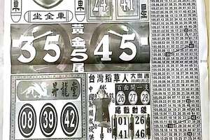 11/11  中國新聞報-大樂透參考