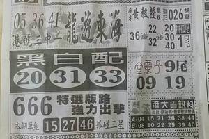 11/22  中國新聞報-六合彩參考
