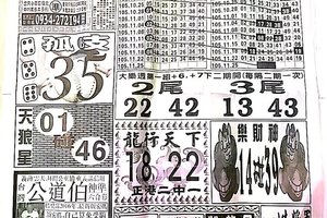 11/25  中國新聞報-大樂透參考