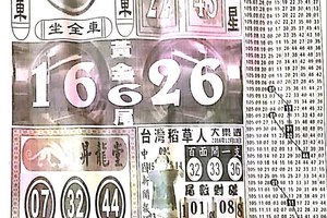 12/13  中國新聞報-大樂透參考