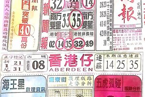 12/25  中國新聞報-六合彩參考