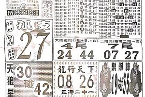 3/7  中國新聞報-大樂透參考