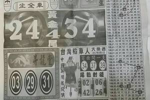 3/31  中國新聞報-大樂透參考