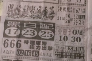 4/8  中國新聞報-六合彩參考