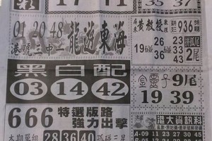 4/15  中國新聞報-六合彩參考