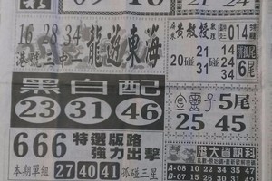 4/18  中國新聞報-六合彩參考
