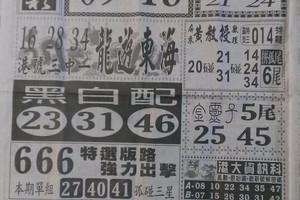 4/18  中國新聞報-六合彩參考