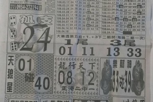 4/18  中國新聞報-大樂透參考