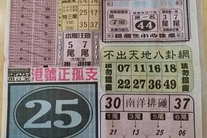 4/29  中國新聞報-六合彩參考