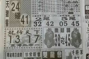 6/2  中國新聞報-大樂透參考