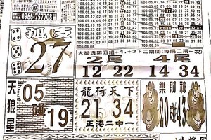 6/6  中國新聞報-大樂透參考