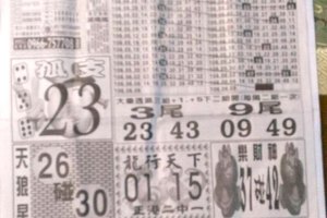 6/9  中國新聞報-大樂透參考