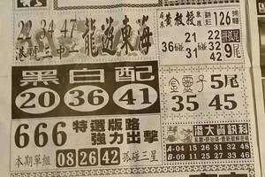 6/13  中國新聞報-六合彩參考