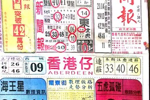 7/20  中國新聞報-六合彩參考
