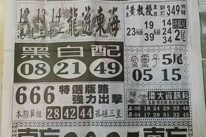 8/8  中國新聞報-六合彩參考
