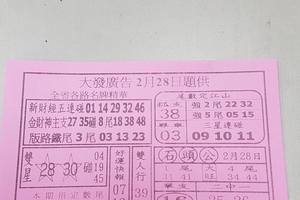 2/28  大發廣告-六合彩參考