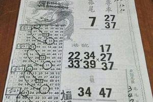 12/24  龍財神-六合彩參考.jpg