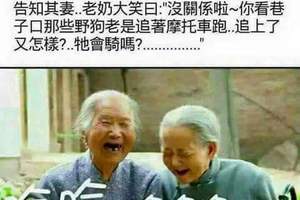 追上了又怎樣...牠會騎嗎...